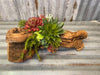 mud pie Reclaimed Wood Collection
