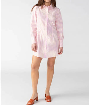 Sanctuary Slimmer Shirt Dress (Inclusive Sizing)