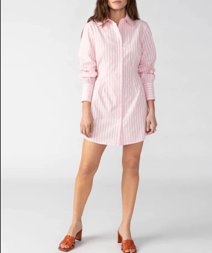 Sanctuary Slimmer Shirt Dress (Inclusive Sizing)